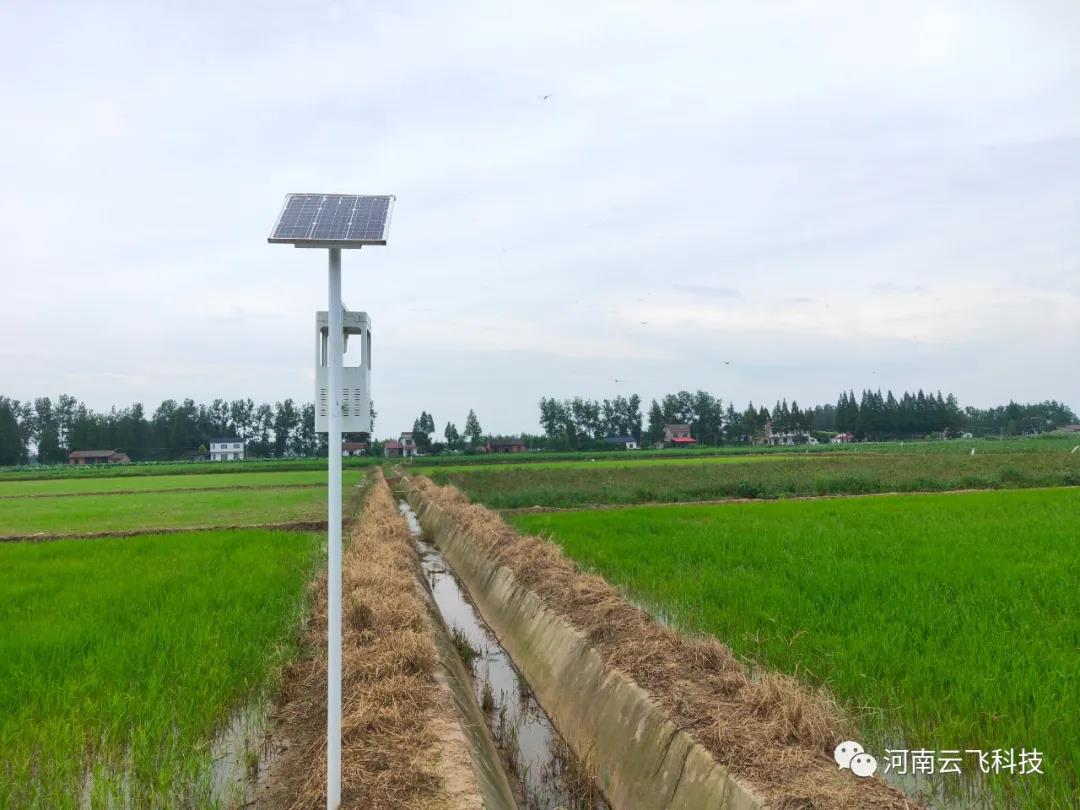 風吸式太陽能殺蟲燈綠色環保，物理滅蟲